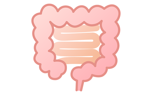 大腸カメラ