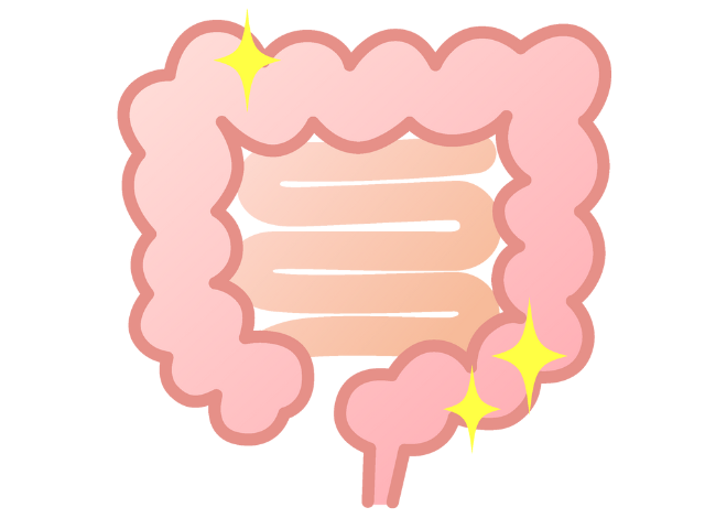 大腸カメラ